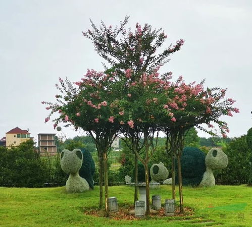 旅游综合体 园艺观光园 造型植物基地打造之路你是否能做